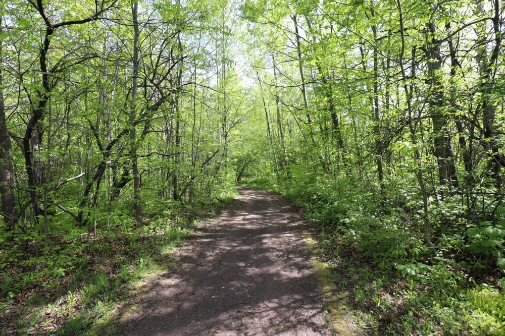 Lot 19 Eagle Run Bayfield, WI 54814