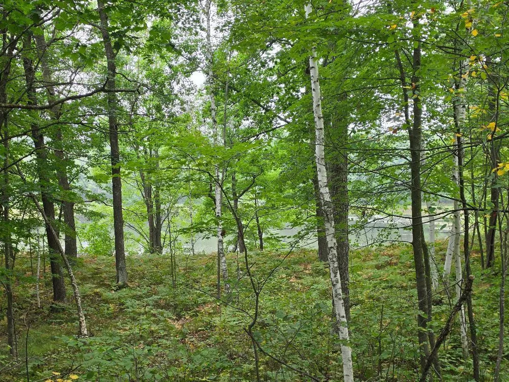 00 10 1/2-28 1/2 Barronett, WI 54813