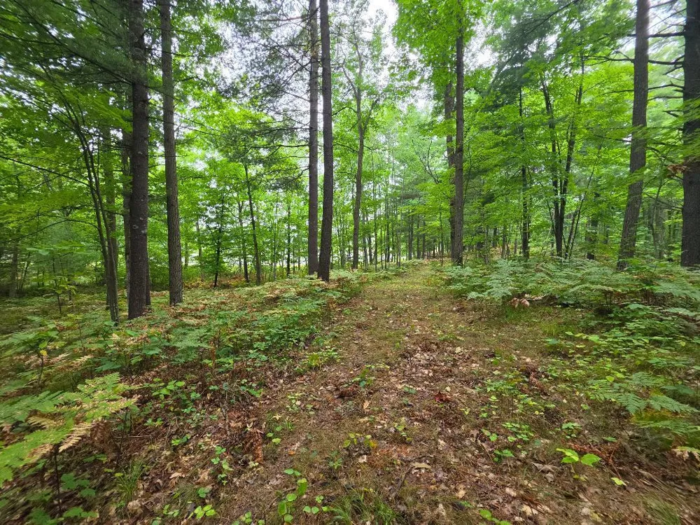 00 10 1/2-28 1/2 Barronett, WI 54813