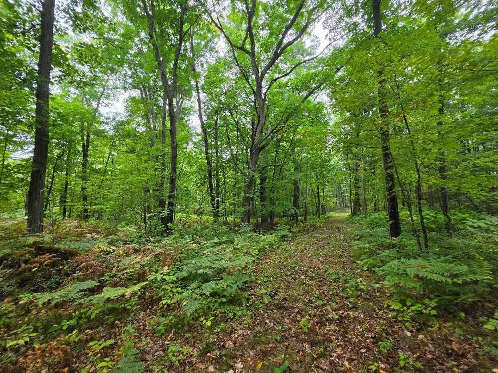 00 10 1/2-28 1/2 Barronett, WI 54813