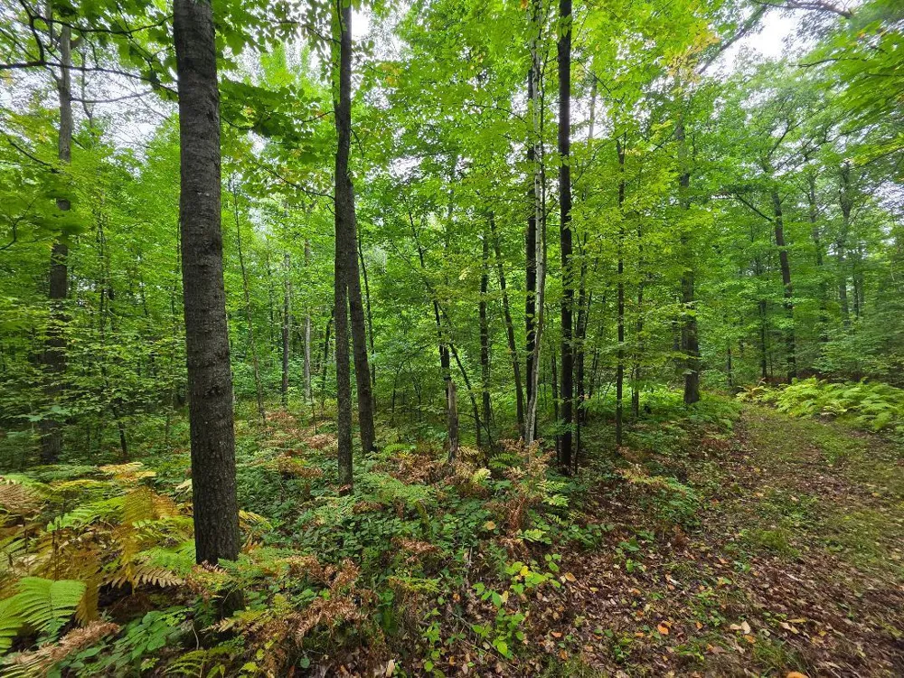 00 10 1/2-28 1/2 Barronett, WI 54813