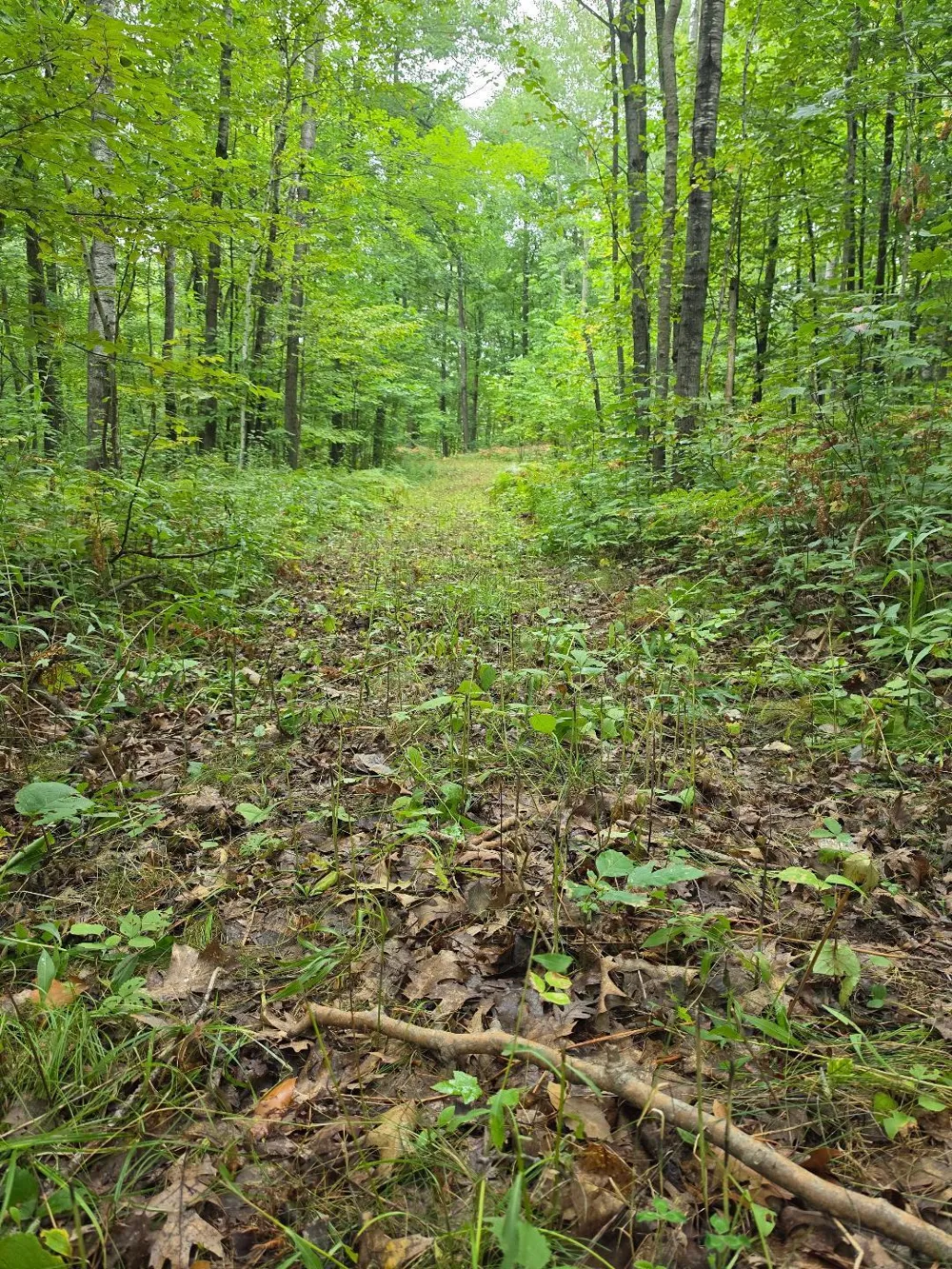 00 10 1/2-28 1/2 Barronett, WI 54813