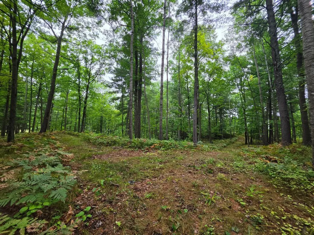 00 10 1/2-28 1/2 Barronett, WI 54813