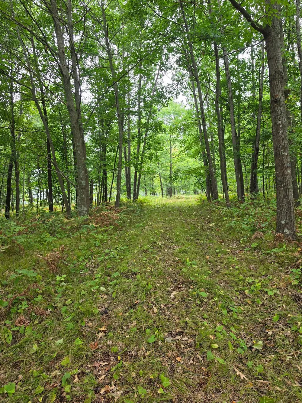 00 10 1/2-28 1/2 Barronett, WI 54813