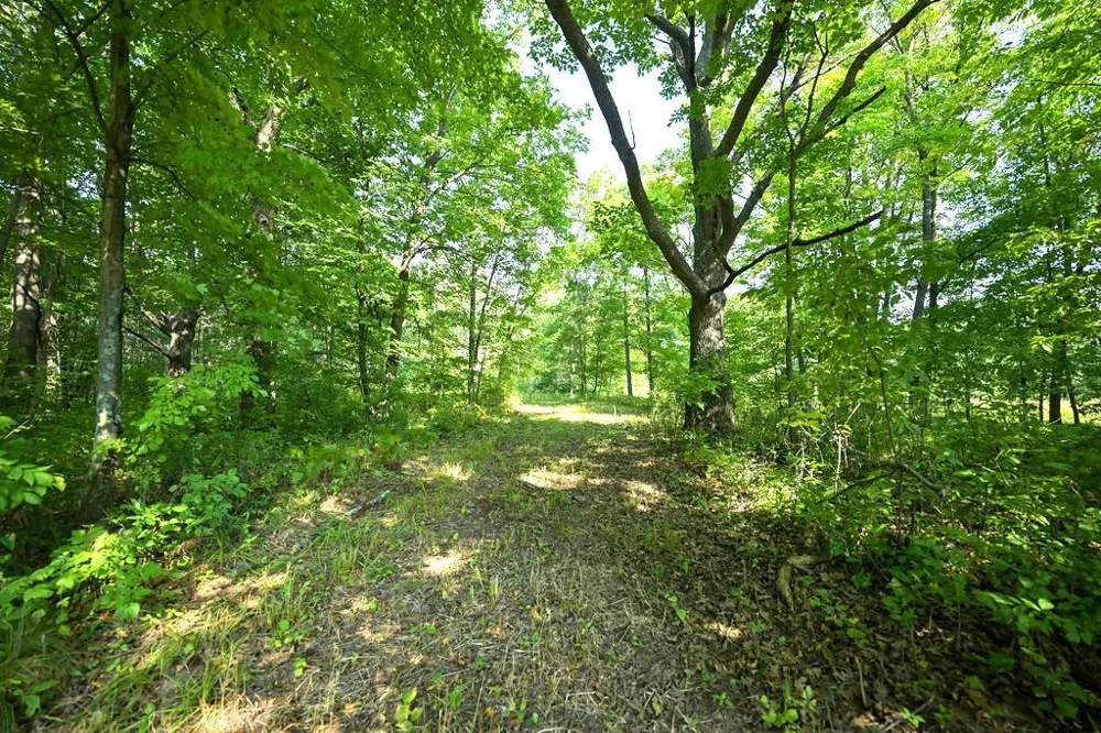 00 10 1/2-28 1/2 Barronett, WI 54813