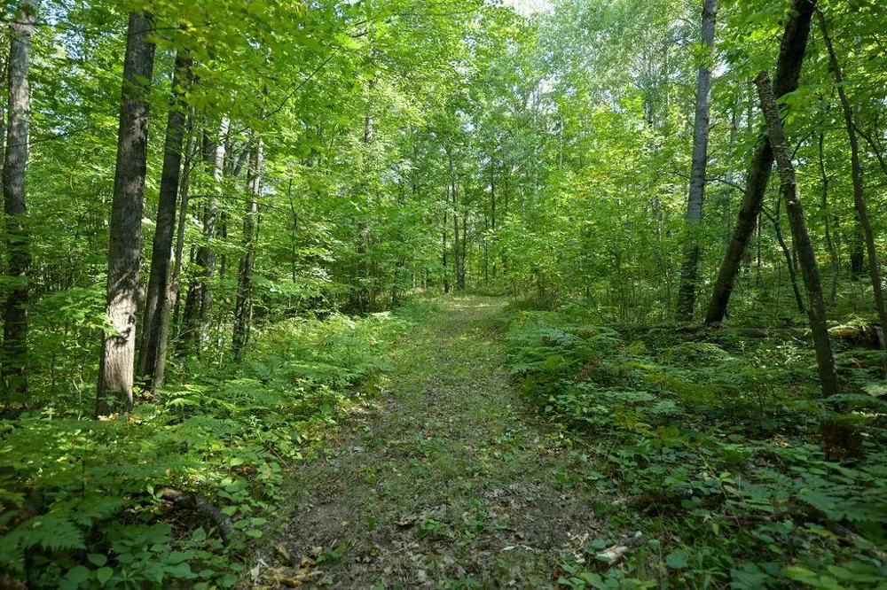 00 10 1/2-28 1/2 Barronett, WI 54813