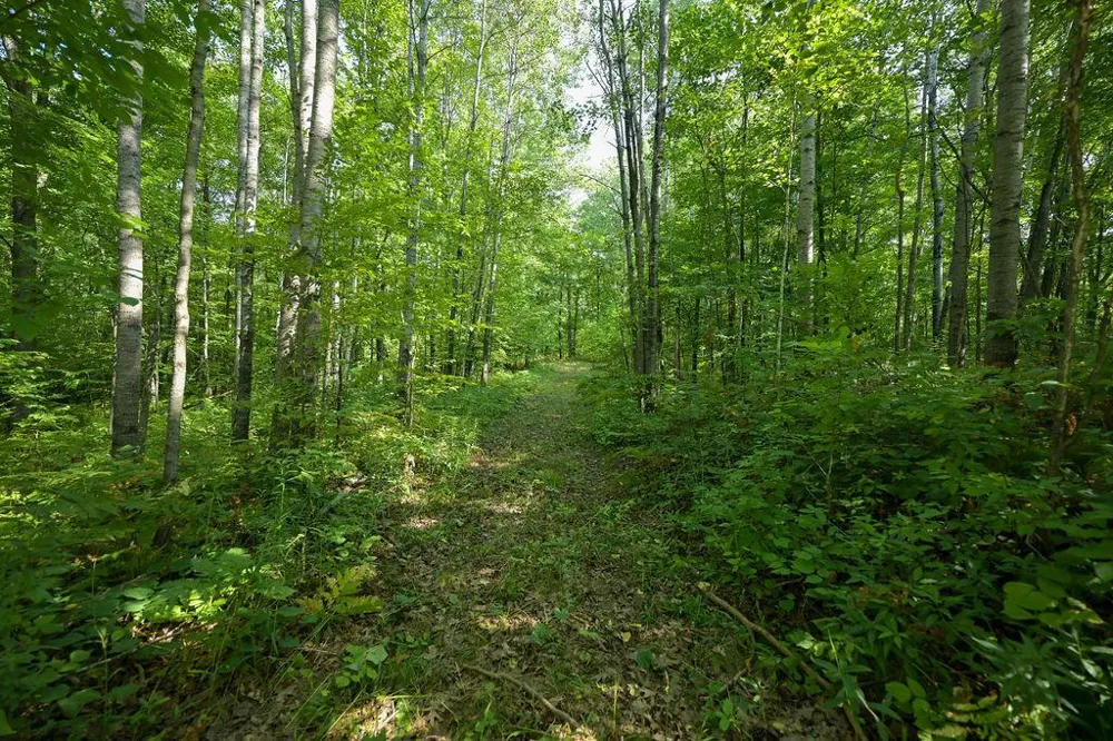 00 10 1/2-28 1/2 Barronett, WI 54813