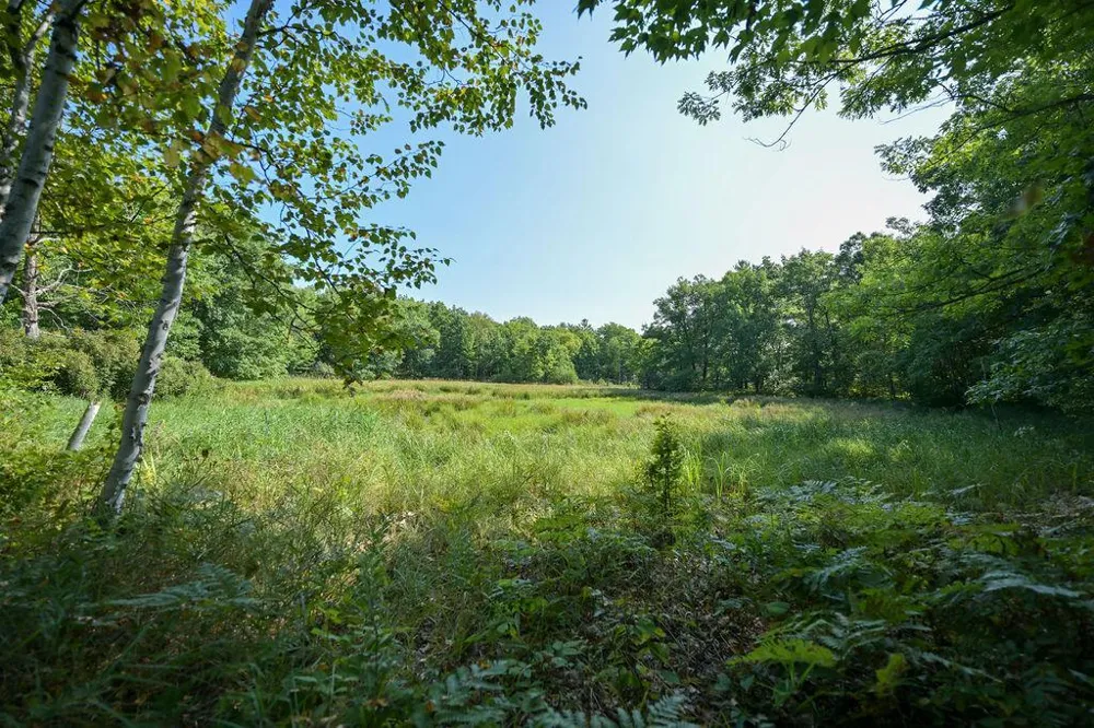 00 10 1/2-28 1/2 Barronett, WI 54813
