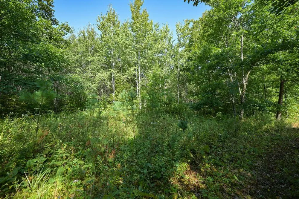 00 10 1/2-28 1/2 Barronett, WI 54813