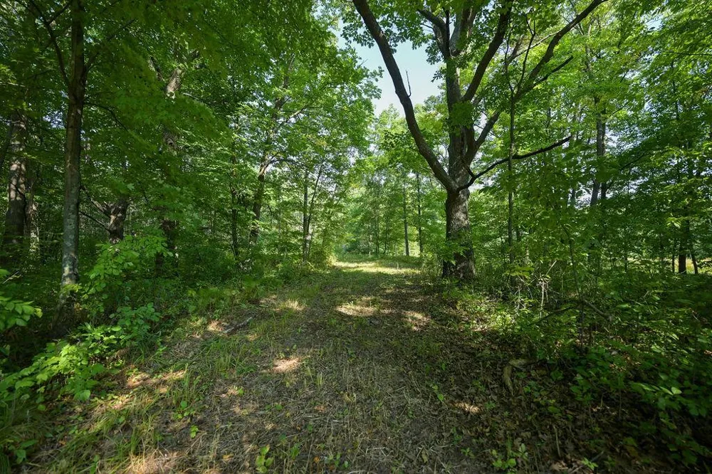 00 10 1/2-28 1/2 Barronett, WI 54813