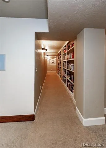 3744 Palazzo Grove Colorado Springs, CO 80920