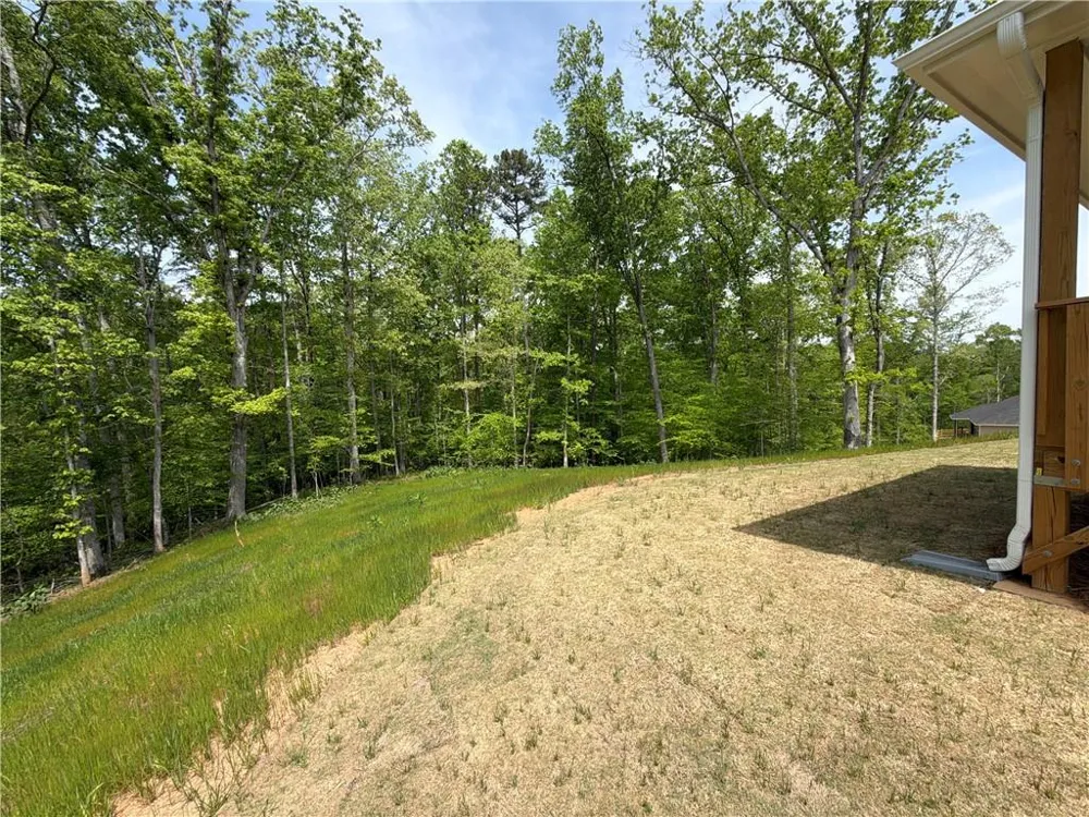 3340 Trevi Trail Douglasville, GA 30135