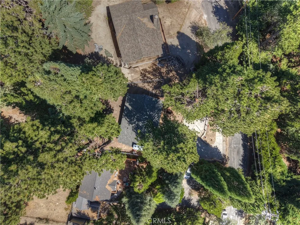 2418 Spring Oak Running Springs, CA 92382