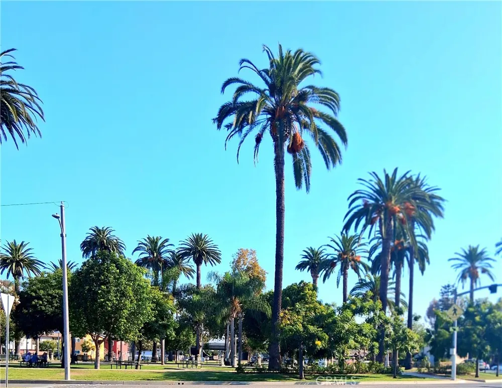 11641 State Lynwood, CA 90262