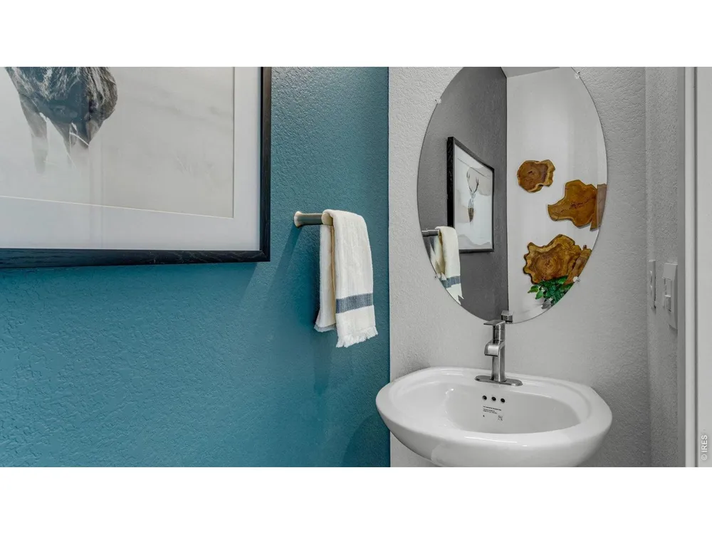836 Trumpet Lane Windsor, CO 80550