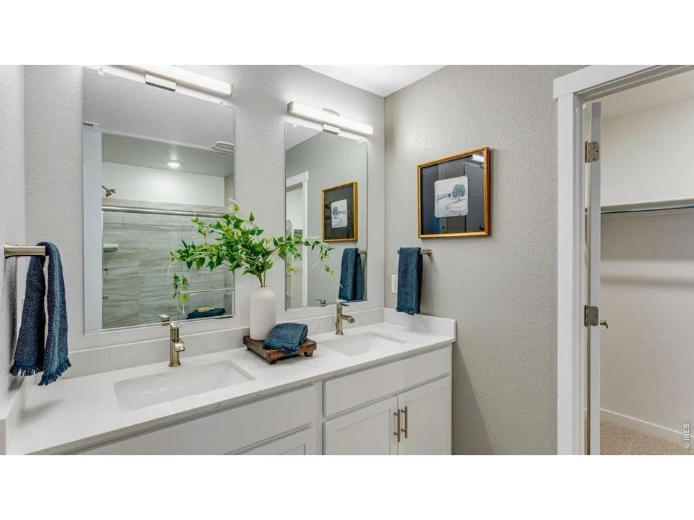 836 Trumpet Lane Windsor, CO 80550