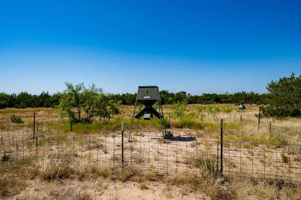 221 County Road 225 Wingate, TX 79566