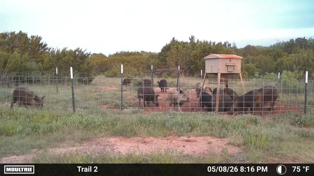 221 County Road 225 Wingate, TX 79566