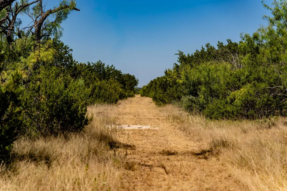 221 County Road 225 Wingate, TX 79566