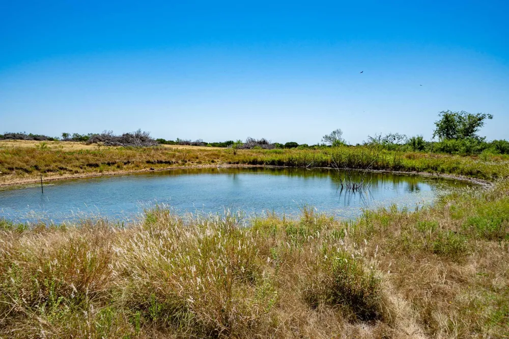 221 County Road 225 Wingate, TX 79566