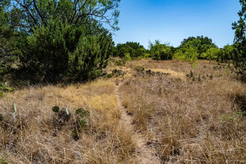 221 County Road 225 Wingate, TX 79566