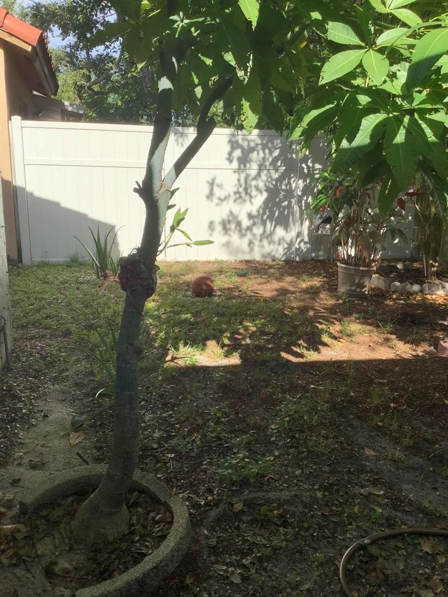 201 SW 98th Terrace Pembroke Pines, FL 33025