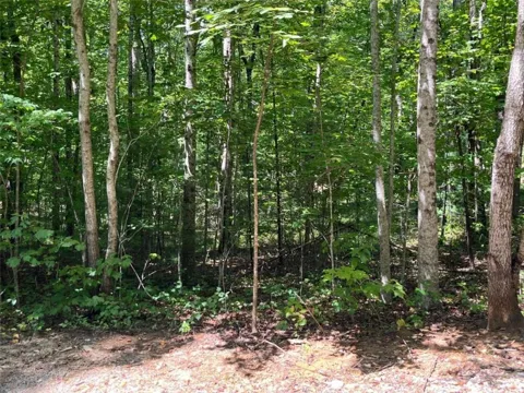 LOT 7 Forest Canopy Way