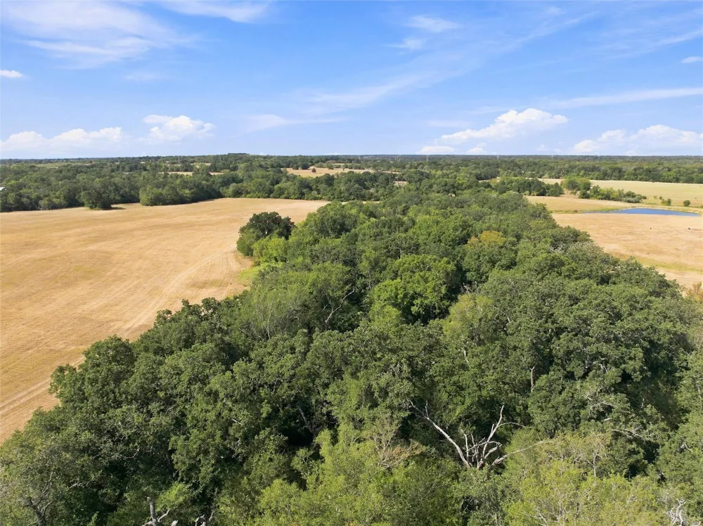 1 Fm 937 Groesbeck, TX 76642