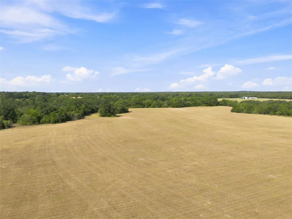 1 Fm 937 Groesbeck, TX 76642