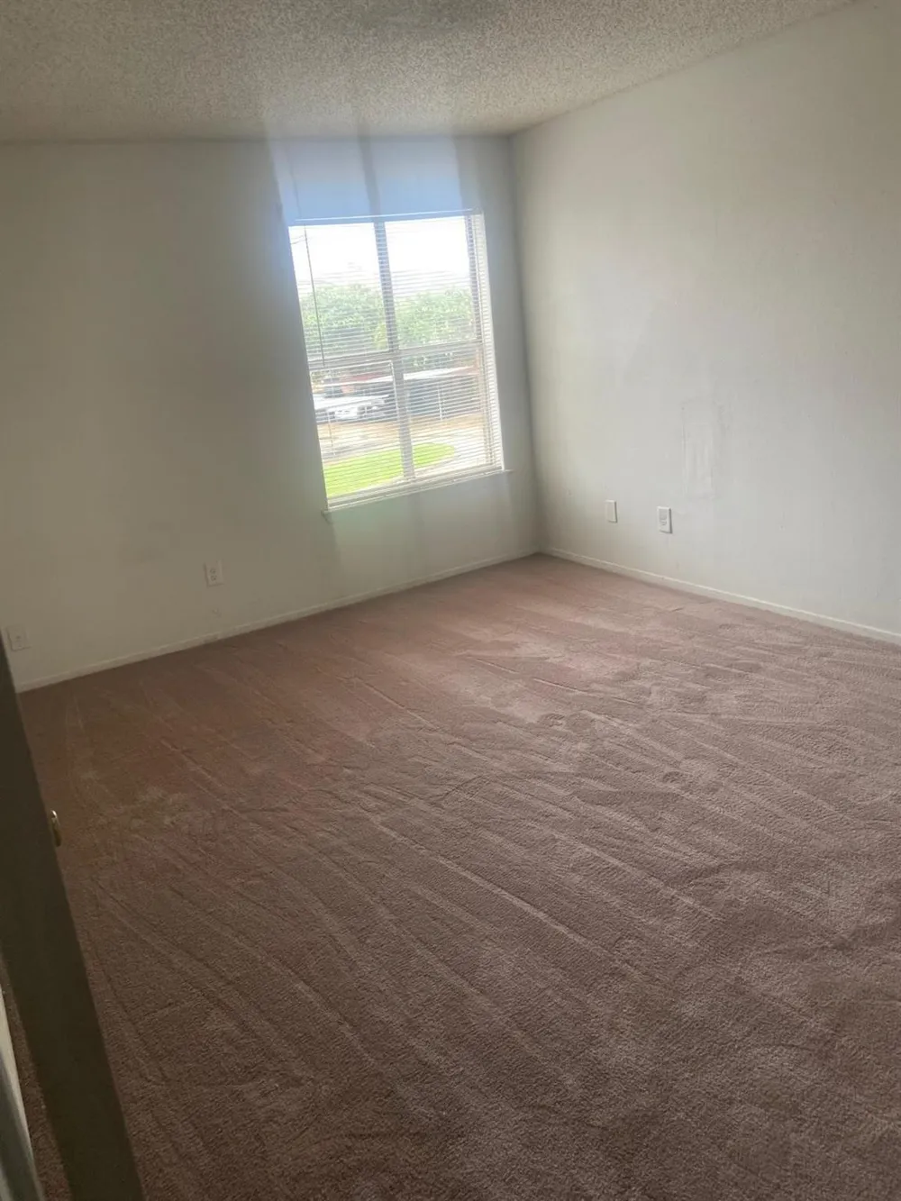 10555 Turtlewood Court #1601 Houston, TX 77072