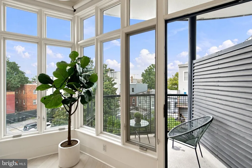 1700 KALORAMA ROAD NW #311 Washington, DC 20009