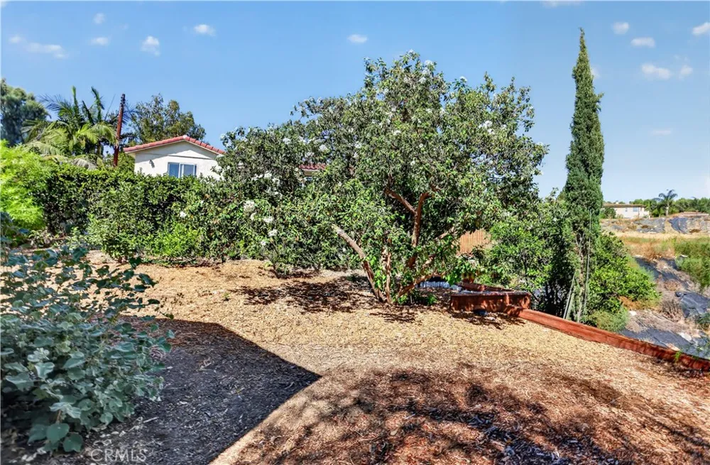 18702 Mesa Villa Park, CA 92861