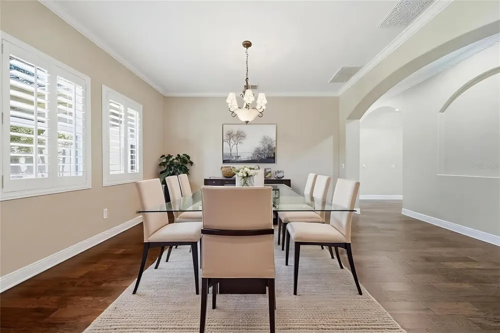 9244 RHEA DRIVE Odessa, FL 33556