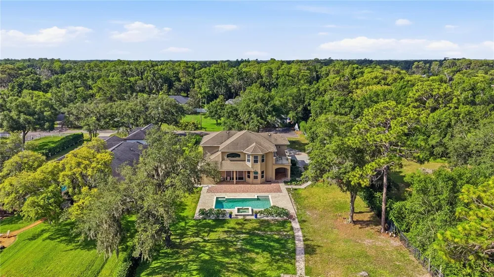 9244 RHEA DRIVE Odessa, FL 33556
