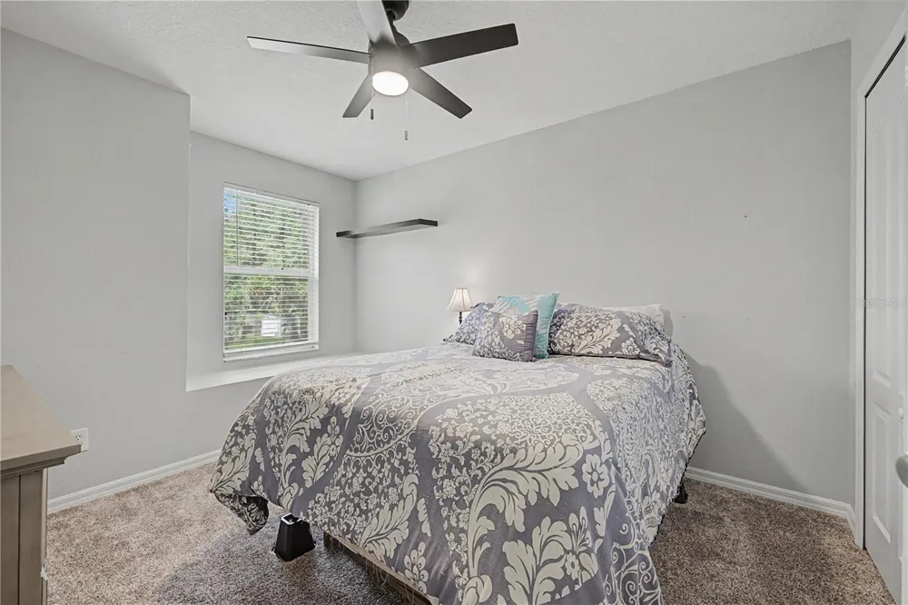 3908 BRILEY LOOP Land O Lakes, FL 34638