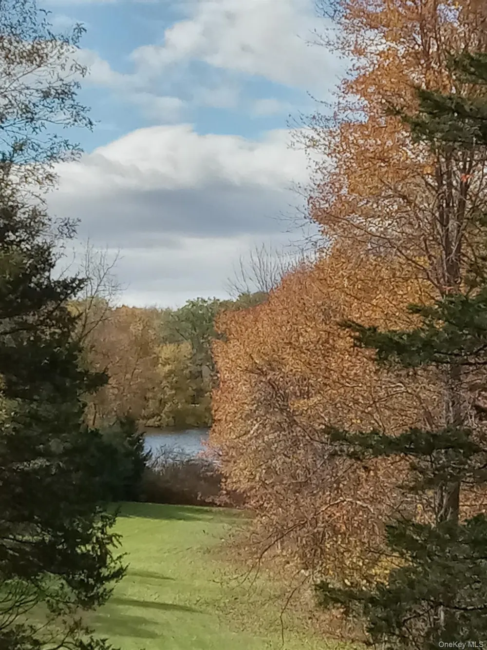 46 Patricia Lane Clinton Corners, NY 12514