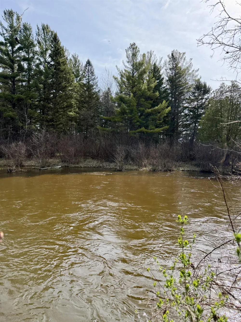 820 E Boardman Acres Drive Blair Township, MI 49696