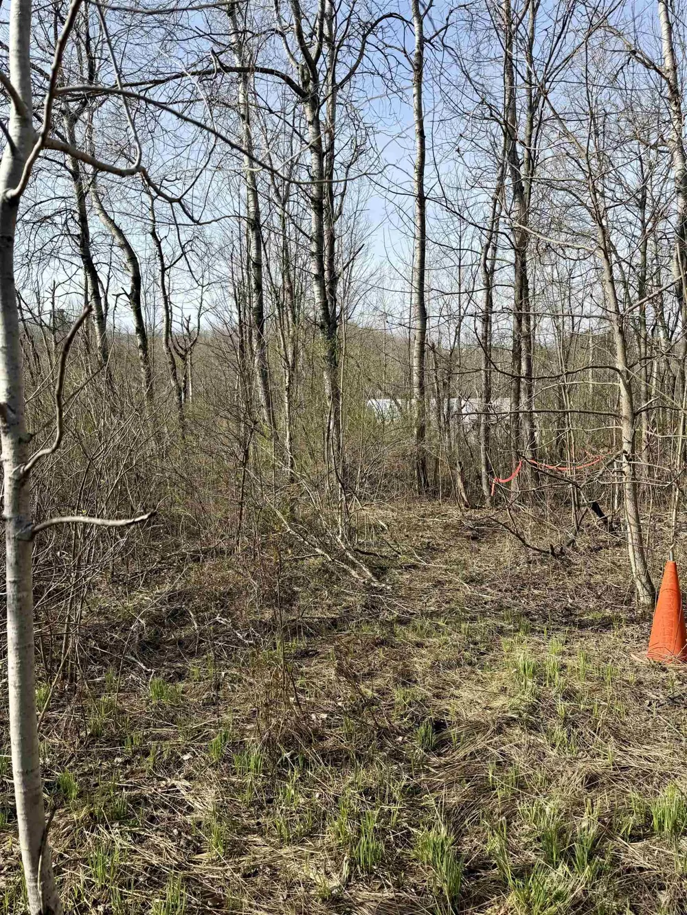 820 E Boardman Acres Drive Blair Township, MI 49696