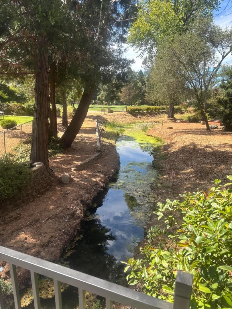3688 Fairway Drive Cameron Park, CA 95682