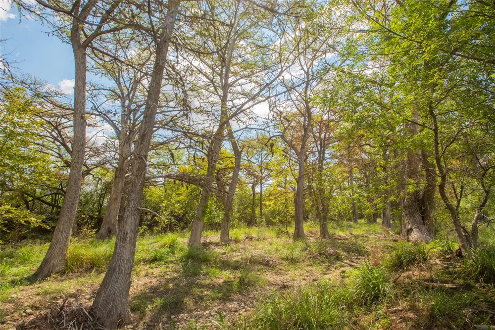 401 Bow Wood Drive Utopia, TX 78885