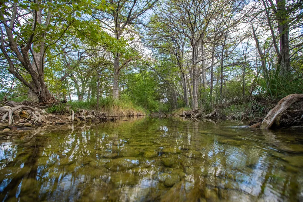 401 Bow Wood Drive Utopia, TX 78885