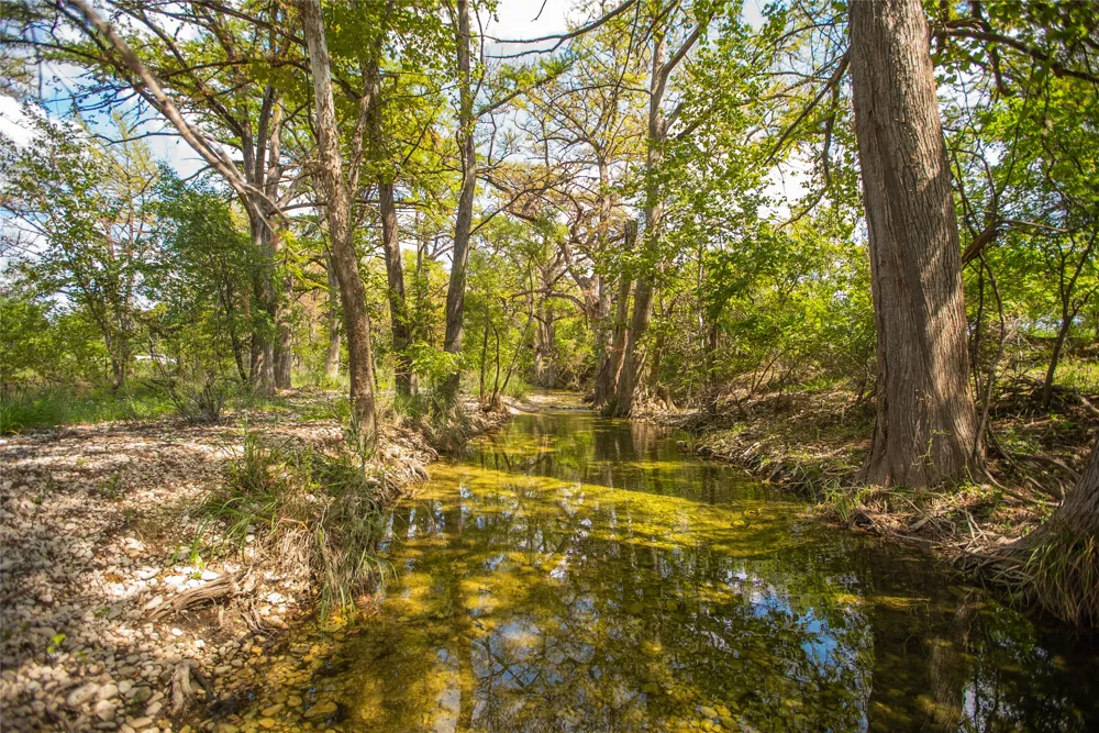 401 Bow Wood Drive Utopia, TX 78885