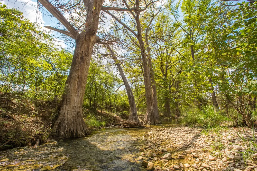 401 Bow Wood Drive Utopia, TX 78885