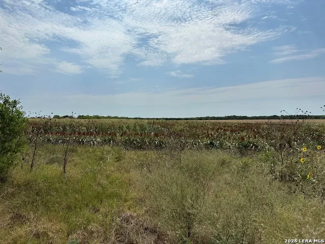 3640 FREUDENBURG RD Converse, TX 78109