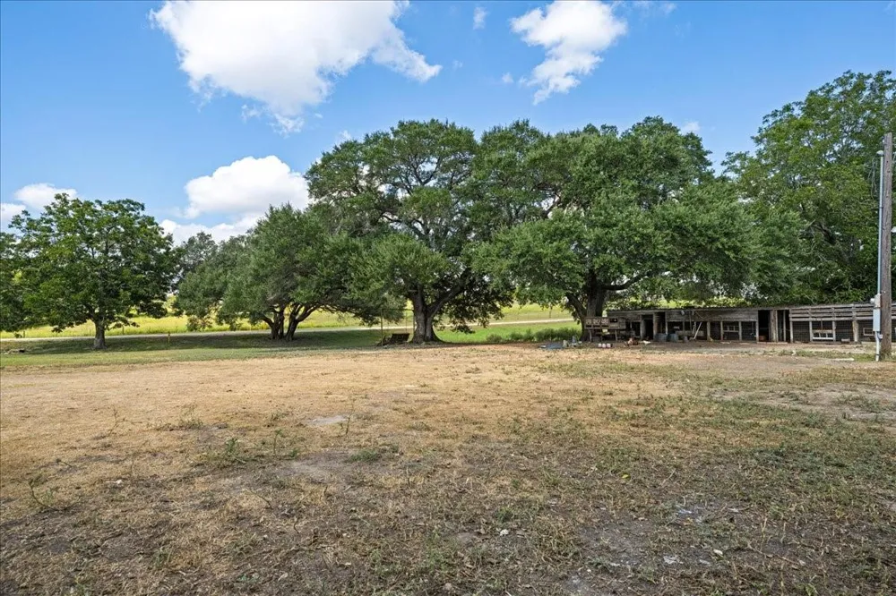 4852 Skull Creek Road Fayetteville, TX 78940