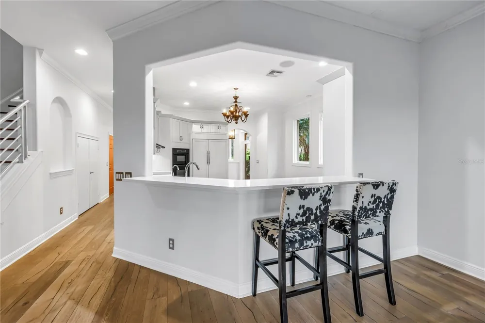 651 SAXONY BOULEVARD St Petersburg, FL 33716