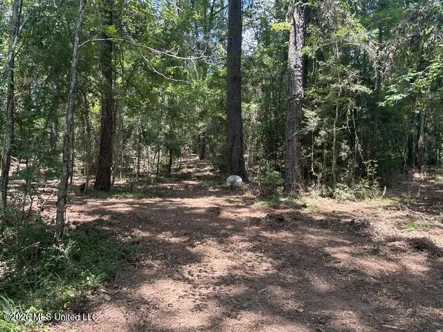 404 Liberty Street Osyka, MS 39657