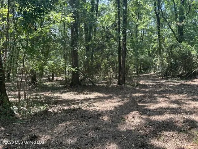 404 Liberty Street Osyka, MS 39657