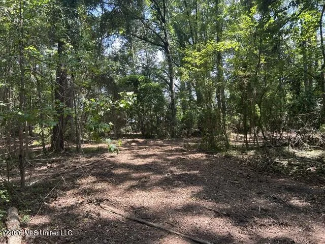 404 Liberty Street Osyka, MS 39657