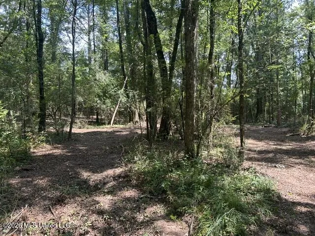 404 Liberty Street Osyka, MS 39657